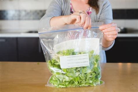 comment bien conserver la salade verte